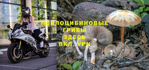 трава Алексеевка