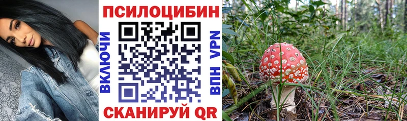 Галлюциногенные грибы мухоморы  Камышлов 